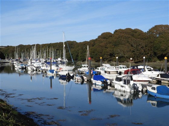 Neyland Marina