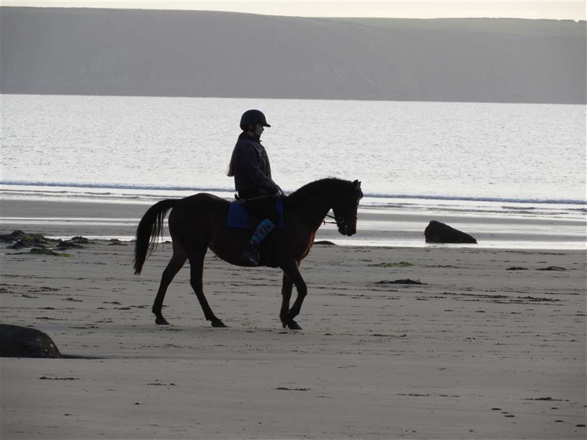 Horse Riding on the beach!
