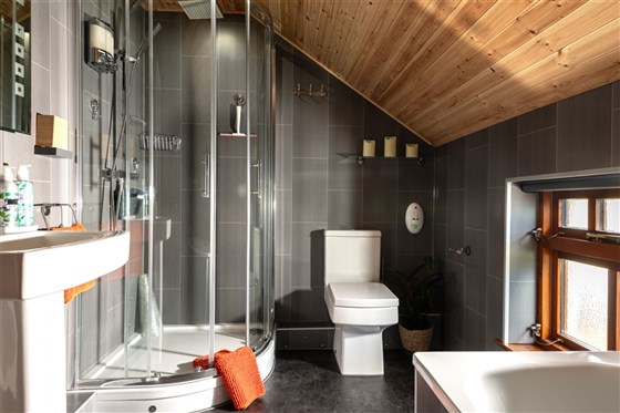Bathroom with bath and separate rainwater shower