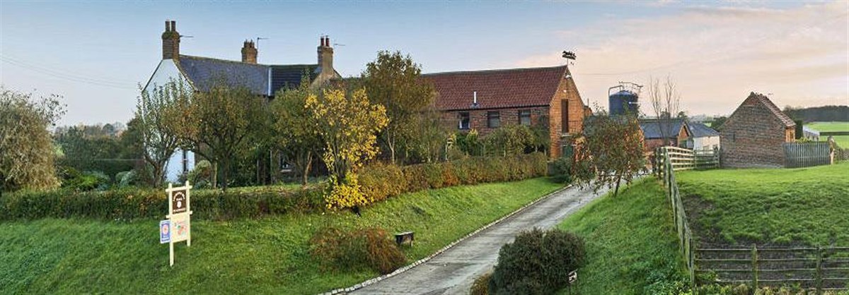 Lovesome Hill Farm