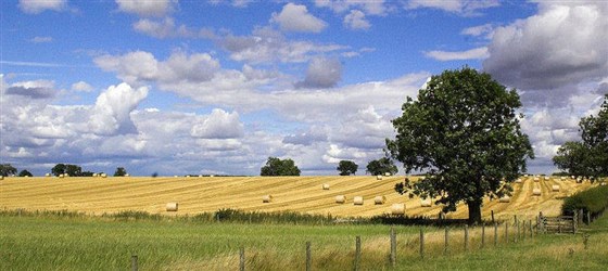 View from the farm