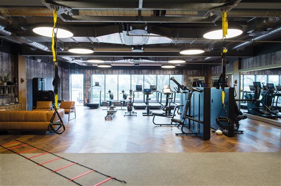 The Gym