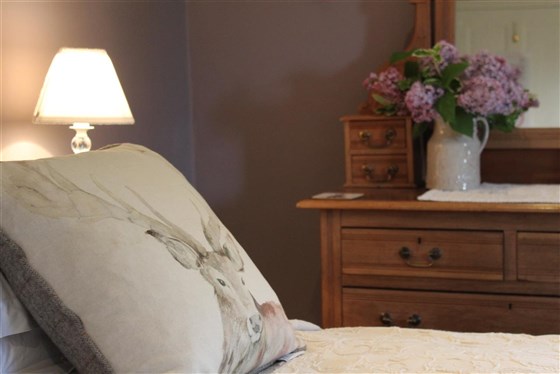 Super Comfy Ensuite Room