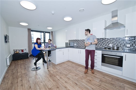 Shared Kitchen in a 5 or 6 bed flat