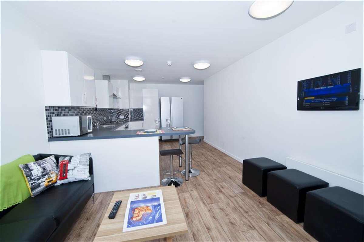 Shared Kitchen in a 5 or 6 bed flat