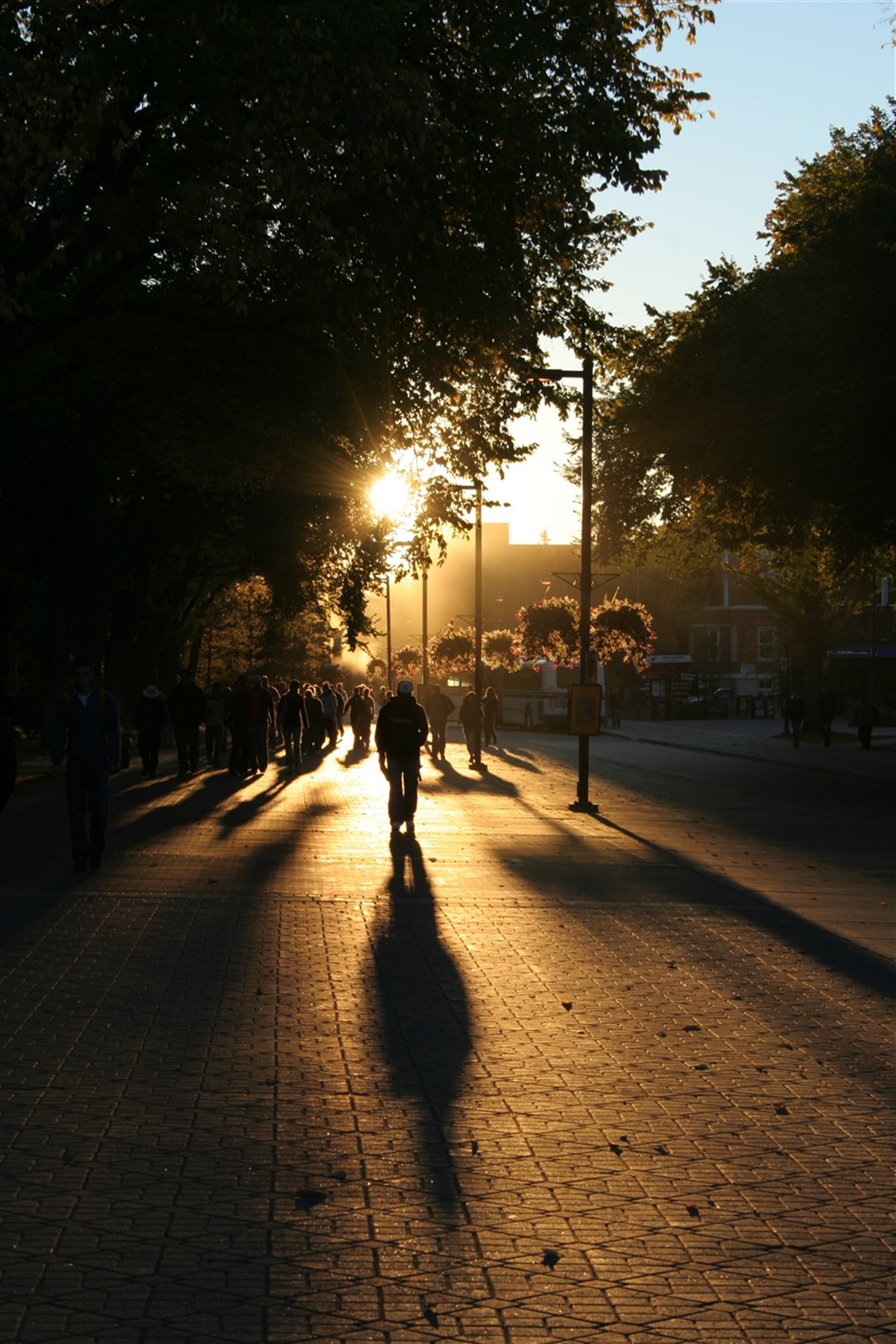 Sunrise on University of Alberta Campus