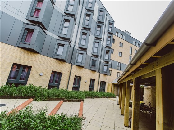 Rear Courtyard