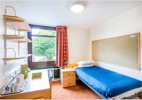 Standard Single Room