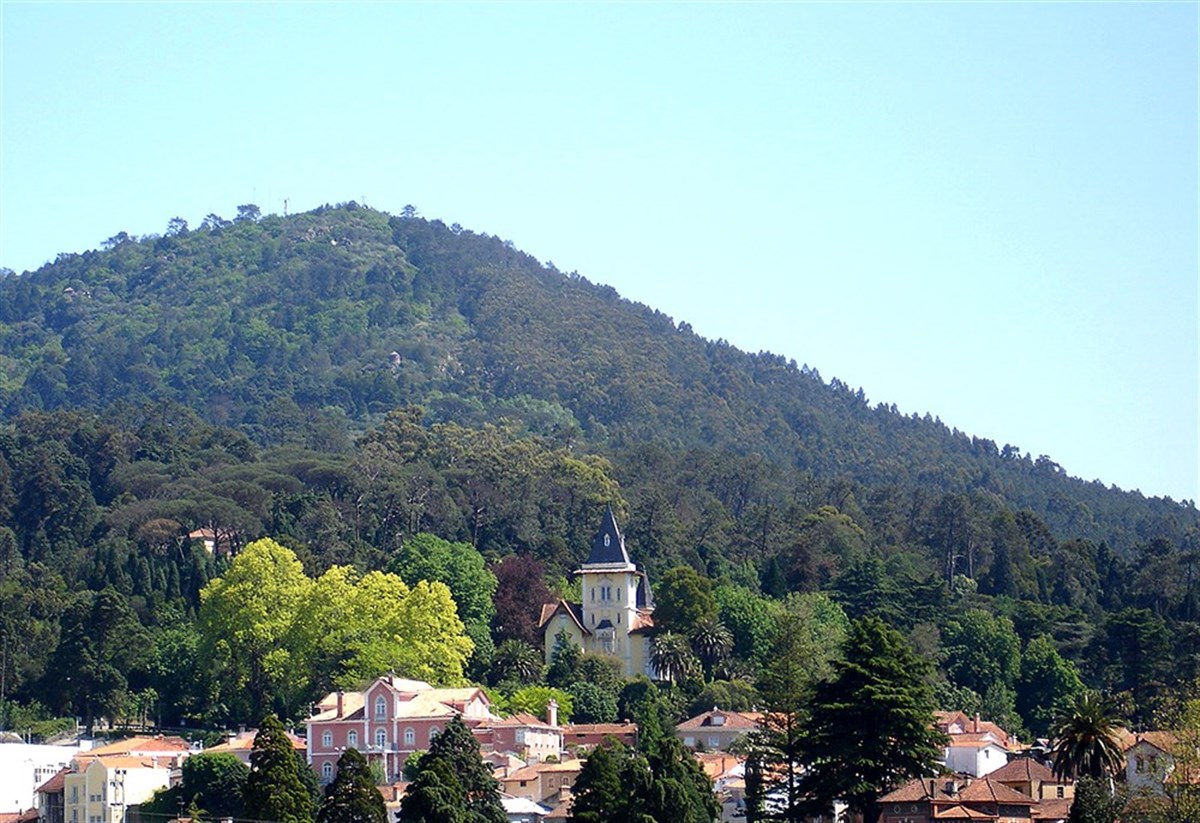Aldeia
