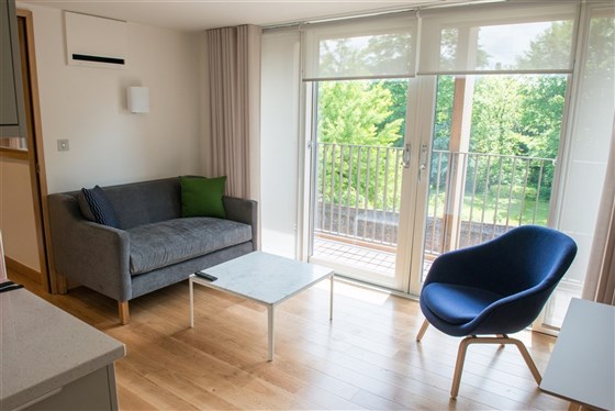 1 bedroom apartment 