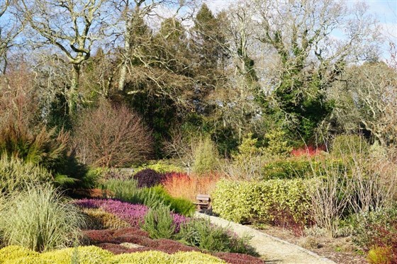 Winter Garden