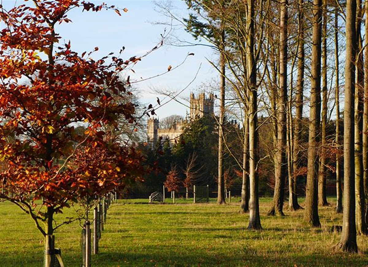 Highclere Castle 